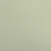 Білий скандинавський