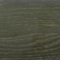 Дуб кантенбері