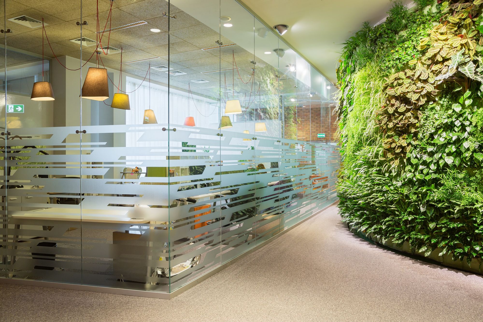 Фото Суцільноскляні перегородки UALCOM-Crystal