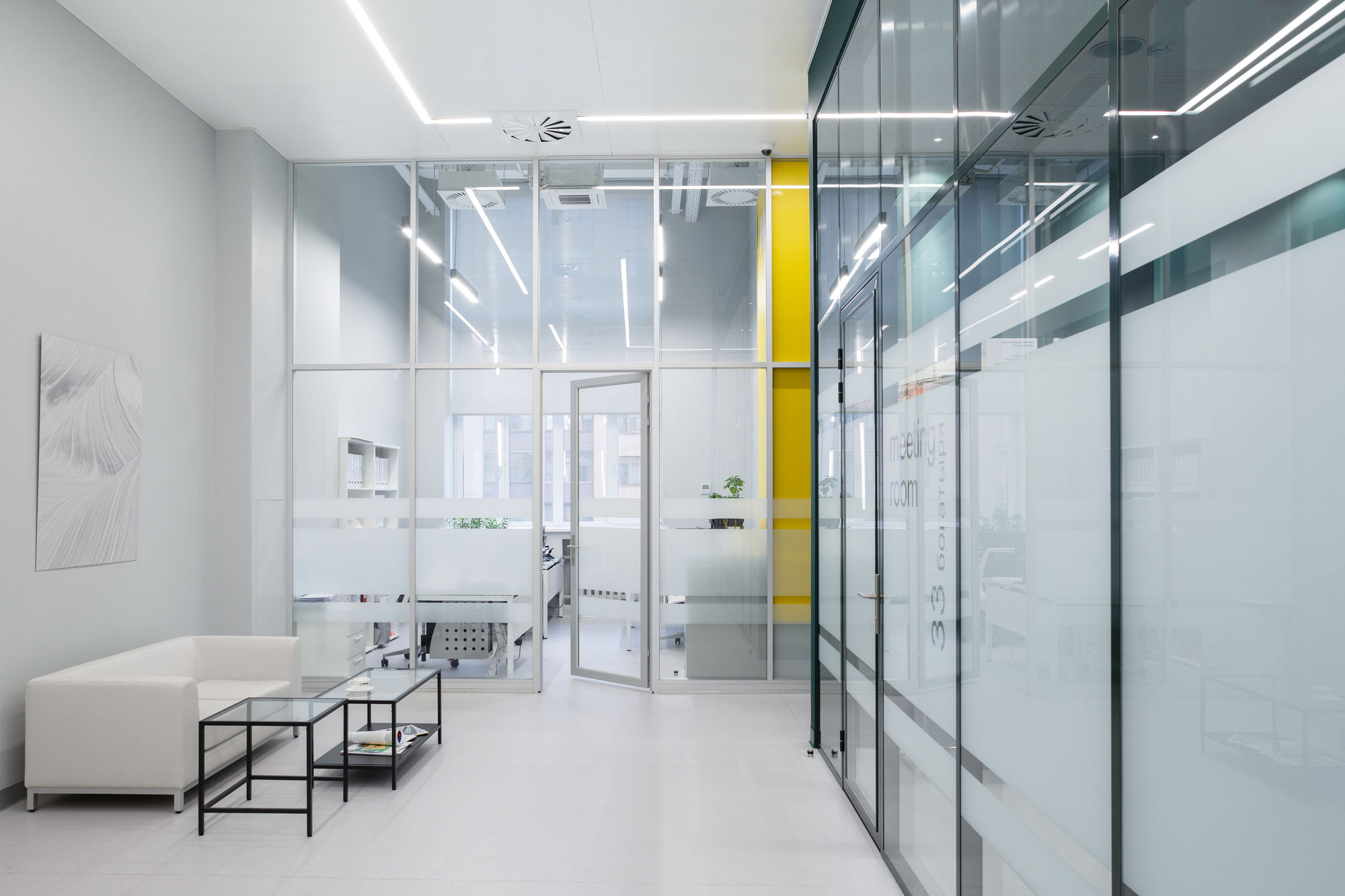 Фото Двері VITRAGE I,II