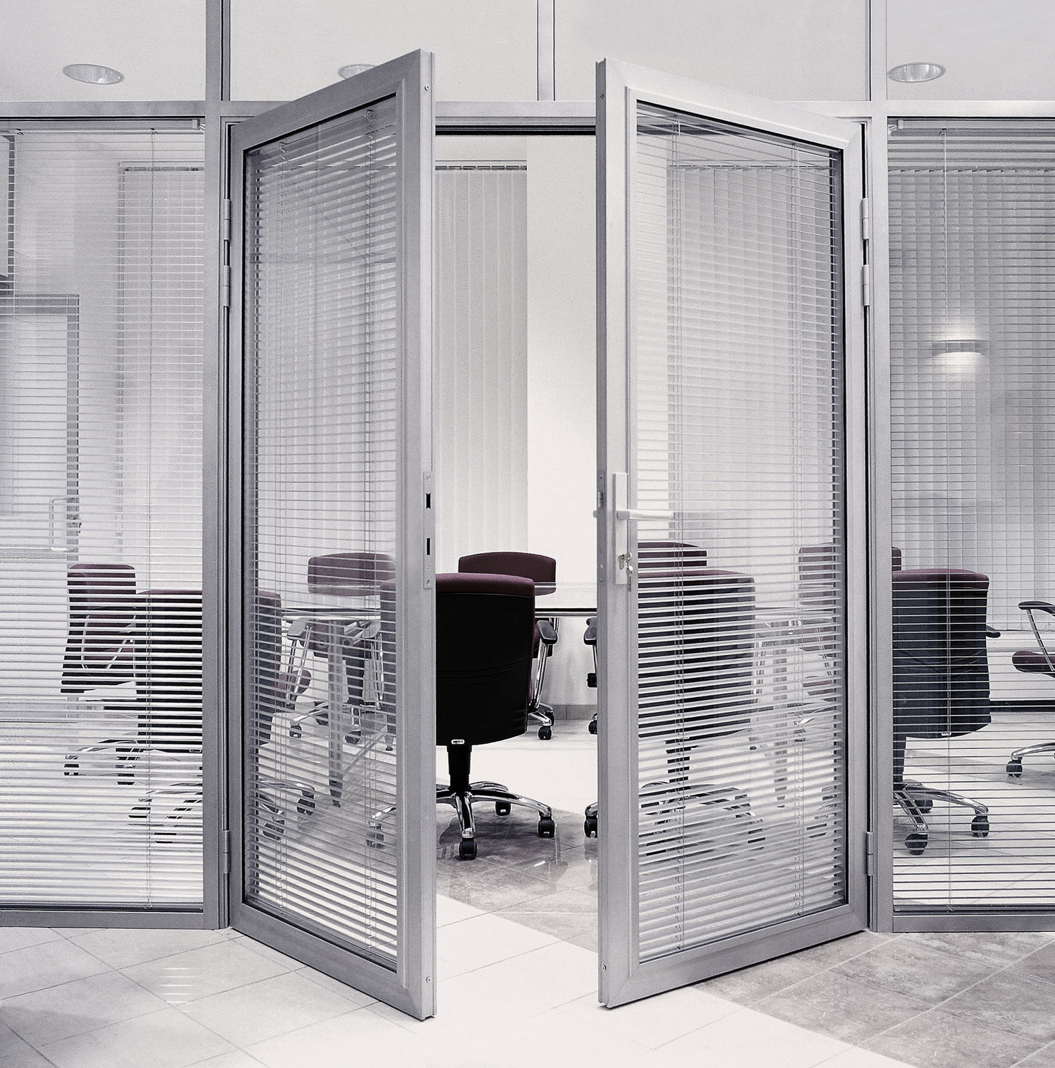 Фото Двері VITRAGE I,II