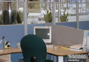 UALCOM-Blitz в проекті Набукас К