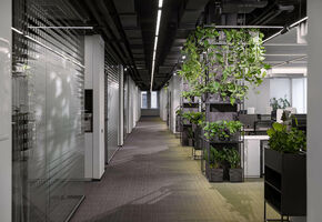 UALCOM-Crystal в проекті Компанія 